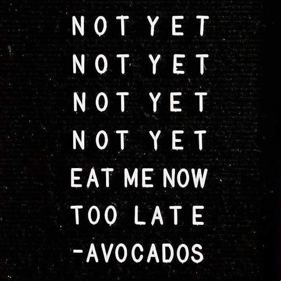 Meet your Posher, Jess - Picture 2 of 2